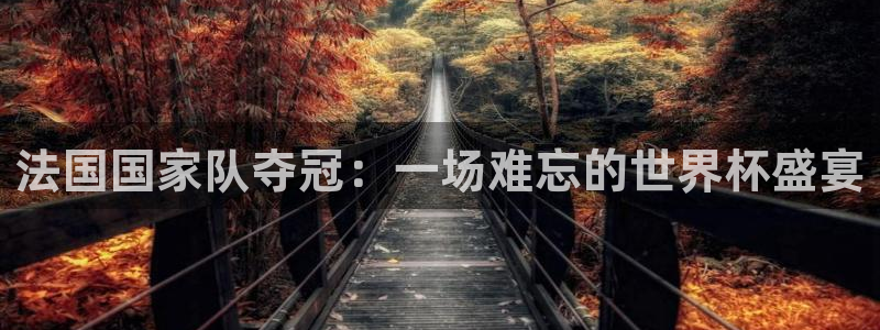 2026足球世界杯赛程：法国国家队夺冠：一场难忘的世界杯盛宴