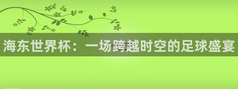 亚洲杯足球：海东世界杯：一场跨越时空的足球盛宴