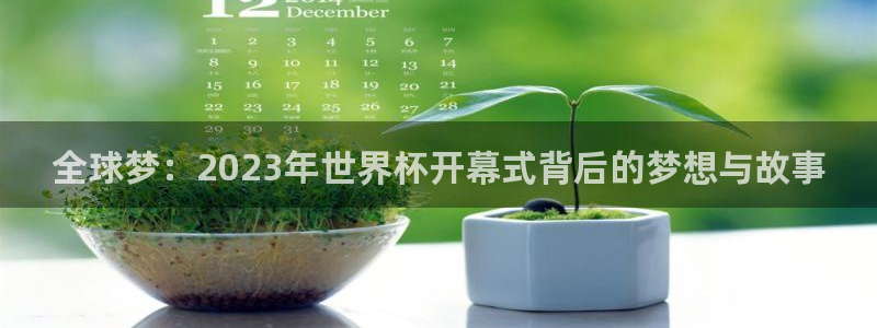 2026世界杯足球赛程时间表：全球梦：2023年世界杯开幕式背后的梦想与故事
