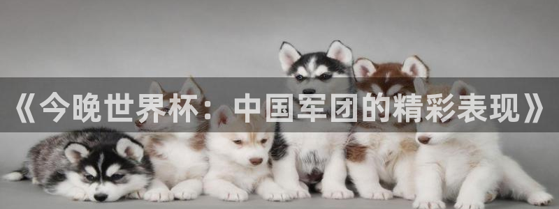 足球世界杯赛程：《今晚世界杯：中国军团的精彩表现》