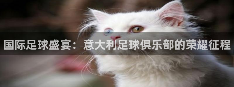 世界杯欧洲预选赛：国际足球盛宴：意大利足球俱乐部的荣耀征程