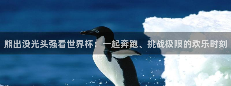 2026年世界杯赛程时间表格：熊出没光头强看世界杯：一起奔跑、挑战极限的欢乐时刻