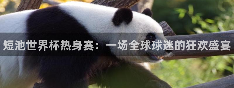 世界杯预选赛排名：短池世界杯热身赛：一场全球球迷的狂欢盛宴