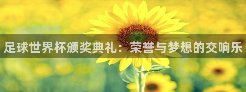 世界杯16强赛程表：足球世界杯颁奖典礼：荣誉与梦想的交响乐