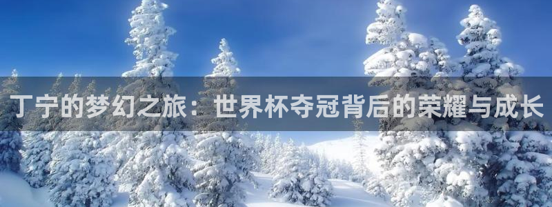 2026男足世界杯赛程：丁宁的梦幻之旅：世界杯夺冠背后的荣耀与成长