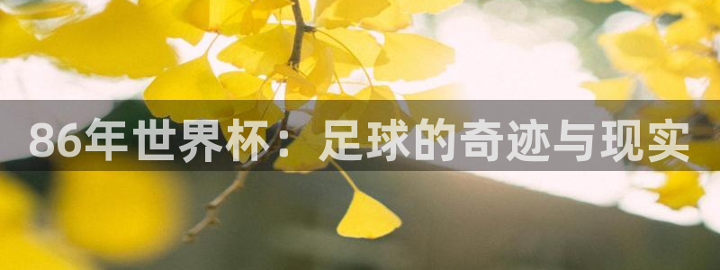 2026世亚预赛赛程表：86年世界杯：足球的奇迹与现实