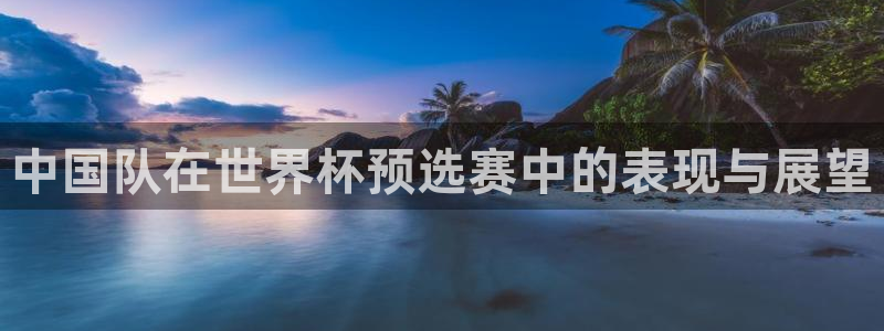 世界杯亚洲区预选赛：中国队在世界杯预选赛中的表现与展望