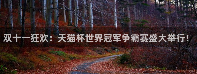 世界杯预赛赛程：双十一狂欢：天猫杯世界冠军争霸赛盛大举行！