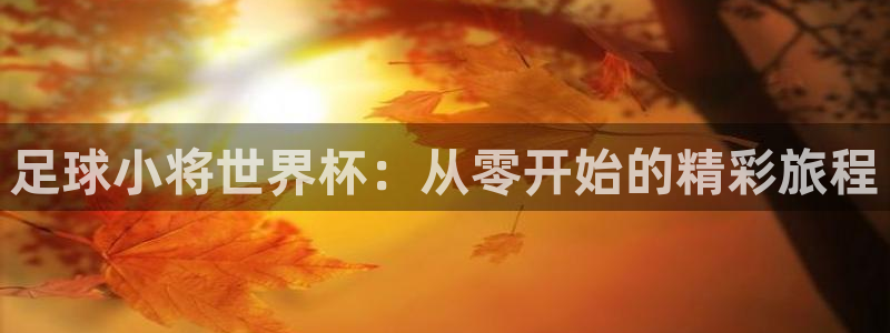 世界杯附加赛赛程表：足球小将世界杯：从零开始的精彩旅程