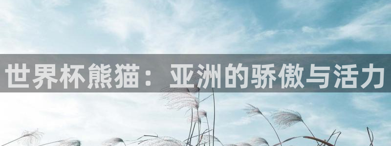 世界直播：世界杯熊猫：亚洲的骄傲与活力