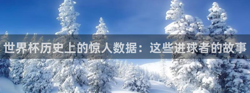 2026年足球世界杯赛程时间表：世界杯历史上的惊人数据：这些进球者的故事