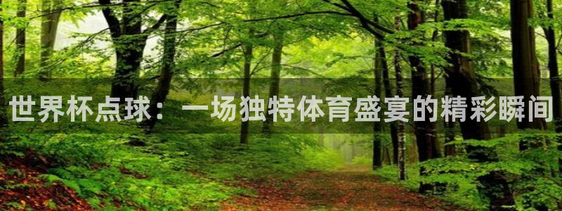 2026葡萄牙杯赛程表：世界杯点球：一场独特体育盛宴的精彩瞬间