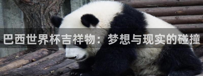 世界杯在线直播：巴西世界杯吉祥物：梦想与现实的碰撞