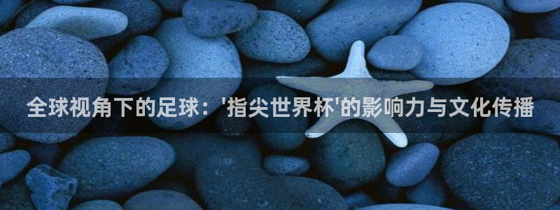 世界杯足球比赛：全球视角下的足球：\'指尖世界杯\'的影响力与文化传播