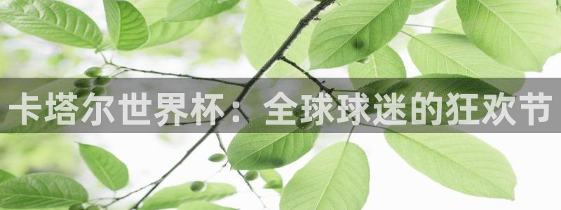 2026世界杯日期：卡塔尔世界杯：全球球迷的狂欢节