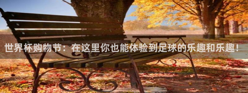 世界杯足球赛2026赛程时间：世界杯购物节：在这里你也能体验到足球的乐趣和乐趣！